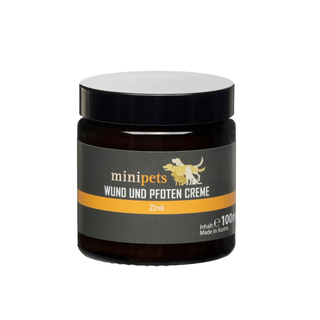 Pfote wird liebevoll gehalten – Wundsalbe & Pfotenpflege für Tiere