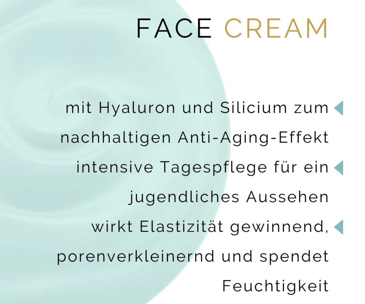 Face Cream mit Hyaluron und Silizium zum nachhaltigen Anti-Aging-Effekt intensive Tagespflege für ein jugendliches Aussehen wirkt Elastizität gewinnend, porenverkleinernd und spendet Feuchtigkeit