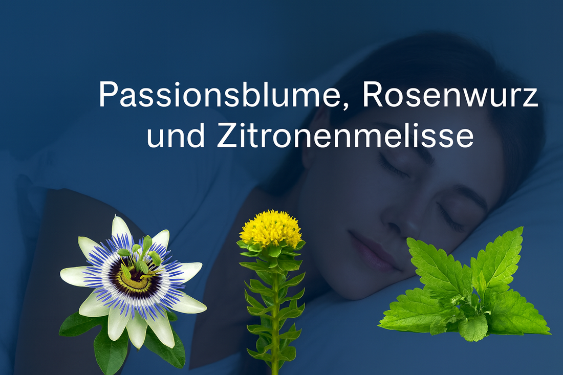 „Schlaf & Stress: Hilfe mit Passionsblume, Rosenwurz und Zitronenmelisse“ – botanische Illustrationen der Pflanzen kombiniert mit dem Bild einer entspannt schlafenden Frau.
