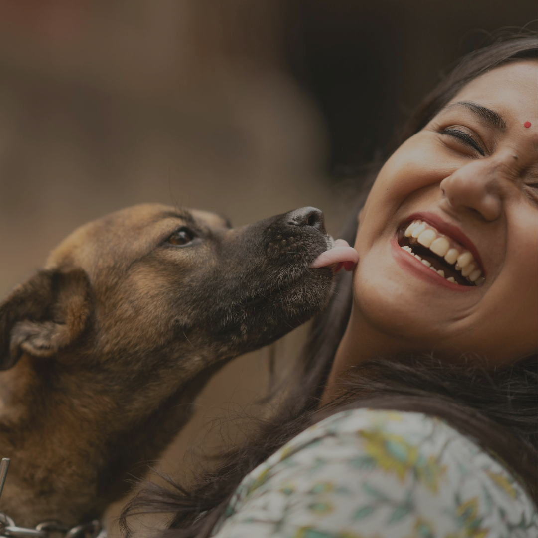 Hund zeigt Zuneigung – Symbol für Pflege, Gesundheit und Vertrauen zwischen Mensch und Tier